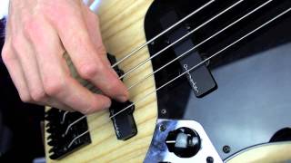 Right hand technique for Bass Raking amp Alternate plucking  L37 [upl. by Gosney86]