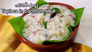 പാൽ കപ്പ  Paal Kappa Recipe in Malayalam [upl. by Henigman]