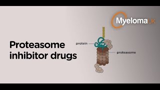 Proteasome inhibitor drugs [upl. by Ateuqram]