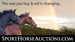 Zebulons Advantage  offered at SportHorseAuctionscom [upl. by Ambrogino]