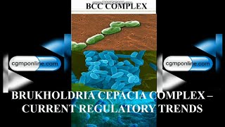 Burkholdoria cepacia  a cGMP update [upl. by Cates268]