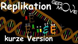 DNAReplikation Biologie GeroMovie kurze Version [upl. by Arrol]