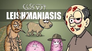 Leishmaniasis  Plain and Simple [upl. by Ayouqat902]