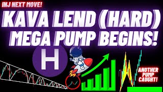 Mega Pump Of Kava Lend HARD Begins [upl. by Nasya203]