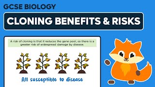 Benefits and Risks of Cloning  GCSE Biology [upl. by Stanzel87]