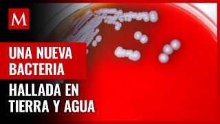 Encuentran bacterias de una rara enfermedad en muestras de tierra y agua en Misisipi EU [upl. by Beaston866]