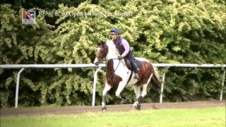 British Eventing Training 3 Speed training [upl. by Lyckman363]