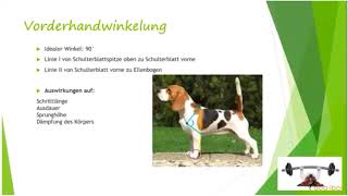 Vorschau dogibox Webinar quotFunktionelle Anatomiequot mit Carmen Heritier [upl. by Olpe827]