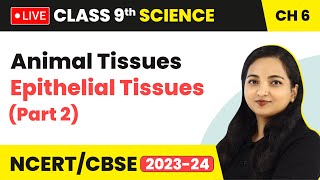 Animal Tissues  Epithelial Tissues Part 2  Class 9 Science Chapter 6 LIVE [upl. by Egdirdle]