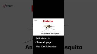 Malaria ll Medic info ll facts malaria science doctor medical amazingfacts school education [upl. by Victor]