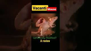 Vacanti Mouse Human ear 👂 on its back [upl. by Audy]