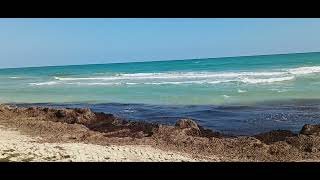 25092023 Djerba plage el Jazira 10H [upl. by Arec]