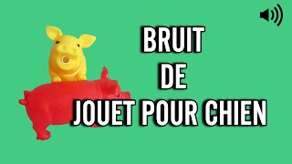 Bruit de JOUET POUR CHIEN 🧸🐕 [upl. by Everara81]