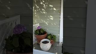 Sprucing up this sad front porch fixerupper [upl. by Semadar]