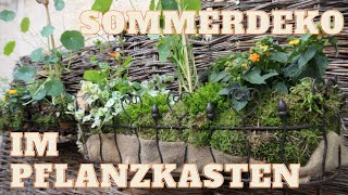 DIY Pflanzidee für Blumenkästen  natürliche Sommerdeko für Balkon amp Terrasse 🌼🌺🌸 [upl. by Neelrahs]