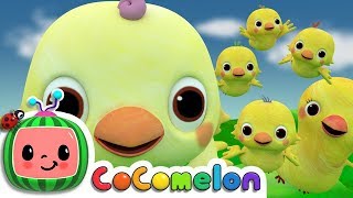 Five Little Birds 2  CoComelon Nursery Rhymes amp Kids Songs [upl. by Munson]