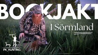 Bockjakt i viltrika Sörmland Bockjakt 2024 [upl. by Newo]