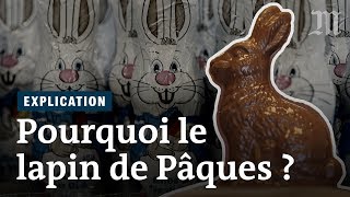 Pourquoi mangeton des lapins de Pâques [upl. by Sommers]