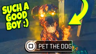 How to get a POWERFUL HELLHOUND PET Doghouse Locations MW3 Zombies [upl. by Ahsenar]