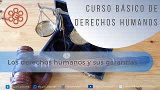 Los derechos humanos y sus garantías [upl. by Solenne622]