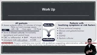 Febrile Neutropenia [upl. by Eidnim545]