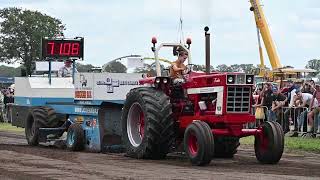 International 1466 Tractor Pulling at Historic Tractor Show Panningen 2023 Almost Full Pull [upl. by Enajiram]