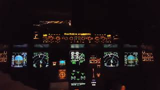 Cockpit View landing at Gothenburg Landvetter AirPort ARN [upl. by Ramirolg]