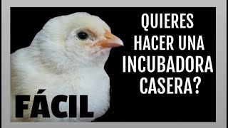 Cómo hacer una incubadora casera fácil [upl. by Gastineau]