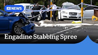 Engadine crash stabbing Woman in serious condition police make domestic violence links  ABC News [upl. by Suciram]