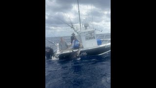 marlin fishing shellharbour nsw australia [upl. by Anyat]