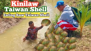 Catch and Cook  Kinilaw na Taiwan Shell  Eating Raw River Mussels  Catching River Mussels [upl. by Eikin412]