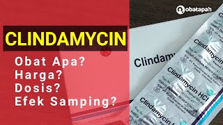 Clindamycin Obat Apa Harga Dosis Efek Samping [upl. by Pare]