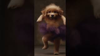 🔥 Epic Cuddly Ballet Puppy Dancing 🔥 [upl. by Yttocs]