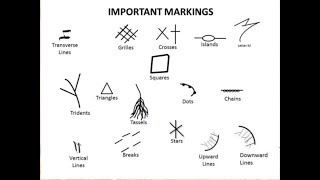 PALMISTRY MARKINGS POSITIVE AND NEGATIVE MARK ON PALM AND MEANING IN DETAIL IN HINDI [upl. by Hsina]