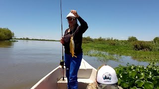 terrible jornada de pesca variada en sauce viejosanta fé [upl. by Eiduj]