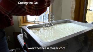 Weekend Cheese Making Workshop [upl. by Ahsier]