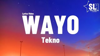 Tekno  Wayo Lyrics Video [upl. by Lamaj444]