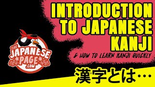 Introduction to Japanese Kanji and How to Learn Kanji Quickly [upl. by Eilojne361]