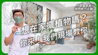 你家適合種植物嗎？不知道怎麼評估的話7月底歡迎來新竹小部屋家居，讓我們為你介紹三種環境適合的植物以及養護建議  宅栽 空間風格佈置 新竹快閃企劃 [upl. by Akeemaj]