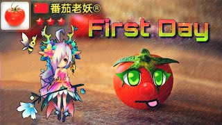 TOMATOS First Day in Special League ft FELLERIA  Summoners War [upl. by Bonney613]