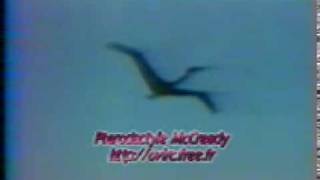 Paul MacCready pterosaur Quetzalcoatlus Northropi QN RC ornithopter [upl. by Eyahc]