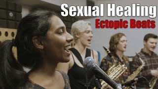 Ectopic Beats  Sexual Healing Cover  Marvin Gaye  Hot 8 Brass Band [upl. by Nwahsal]