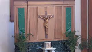 St Petronille LiveStream  Rosary amp Mass 22nd Sunday in Ordinary Time 930 AM Sept 1 2024 [upl. by Miyasawa]