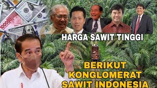 HARGA SAWIT MEROKET BERIKUT KONGLOMERAT SAWIT INDONESIA sawit uang viral [upl. by Christyna]