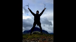 My 2024 Sweden Hike 270km on parts of Kungsleden full Padjelantaleden and 2 days Sarek [upl. by Auqinat]