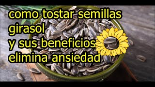 Cómo tostar semillas de girasol en la sartén [upl. by Philpot]