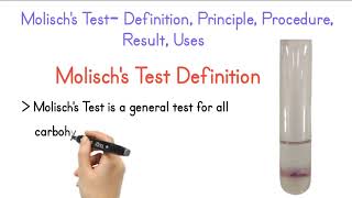 Molischs Test Definition Principle Procedure Result Uses [upl. by Frederica]