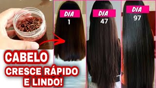 CABELO CRESCE 5cm EM 1 MÊS RECEITA FÁCIL E SIMPLES [upl. by Erodroeht]