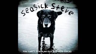 Seasick Steve  Burnin Up [upl. by Refinney]