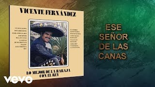 Vicente Fernández  Ese Señor de las Canas Cover Audio [upl. by Lemieux140]